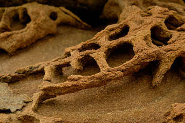 Sandstone rock along the cliffs. Rocks are full of holes by weathering and erosion. Weathered sandstone texture background