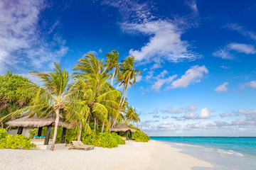 Amazing summer landscape, palm trees beach. Perfect tranquil beach scene, soft sunlight and white sand and blue endless sea as tropical landscape. Luxury resort hotel, vacation and holiday landscape