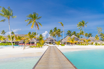 Amazing Maldives island panorama. Beautiful beach scene with palm trees and perfect blue sea water. Relaxing and exotic tropical landscape view. Luxury summer vacation and holiday banner concept
