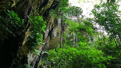 Entrance to the Deer Cave in Gunung Mulu National Park, Borneo