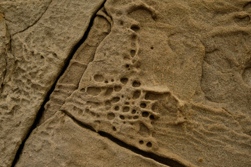 close up limestone texture background, natural surface. Background on theme geology