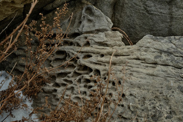Fototapeta na wymiar close up limestone texture background, natural surface. Background on theme geology