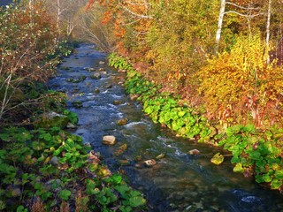 river