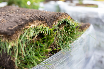 Stack of turf grass rolls for landscaping. green grass carpet in roll for lawn