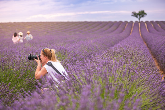 Beautiful woman taking picture outdoors with a DSLR camera. Young blonde woman, professional photographer, taking pictures of a beautiful nature surrounding her, warm sunny day in lavender field.