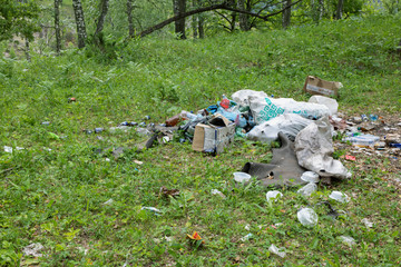 Garbage dump in forest. Plastic and food waste concept