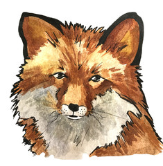 Illustration with watercolor red fox.
