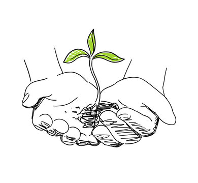Hands with seeds and sprout. Agriculture sprout in hand. Growth of plants. Sketch hand drawn. On white background. Vector. Front view.