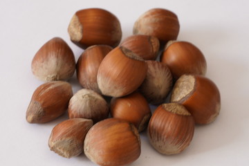 Hazelnut shell dried on white background