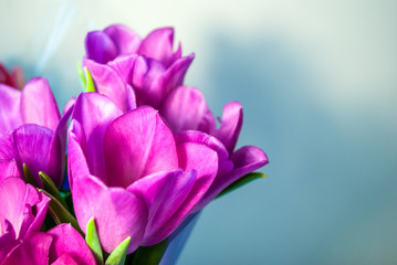 tulips bouquet. flowers in spring, summer, March 8, a gift for Mother's Day. Congratulations on the holiday. beautiful background