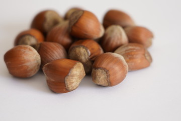 Hazelnut shell dried on white background