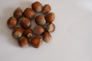 Hazelnut shell dried on white background