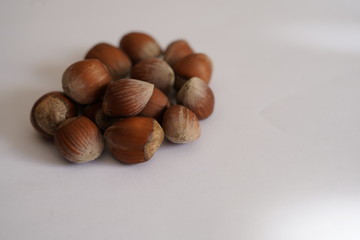 Hazelnut shell dried on white background