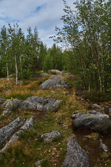 Fototapeta na wymiar Panorama of Karelian nature from a height.Panoramic view of the surroundings of Sortavala from a hill in a city park: a forest of conifers, traces of volcanic lava, rocks and volcanic rocks. Russia