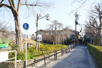 Naklejka premium KYOTO