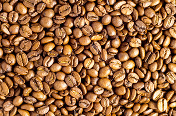 Roasted coffee beans