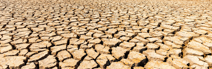 Panorama Top brown dry and cracked ground.Global warming effect.