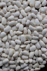  jarzyna  , fasola jaś , fasola piękny jaś , fasola karłowy, nasienie fasoli nasiona  , fasola tekstylia , fasola na tapetę , wzór na tapetę , wzór nz płytki ,  biała fasola ,