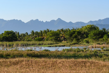 Langkawi Island countryside landscapes. Paddy rice Field. Andaman Sea, Malaysia