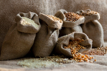 Grains of peas, rice, wheat, oats, buckwheat in bags.