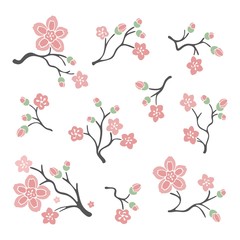 Vector sakura branch illustration isolated on white background. Set of Japanese cherry blossoms with flowers.