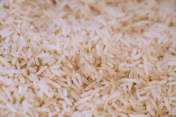 Close up of asia raw rice grain and dry rice background