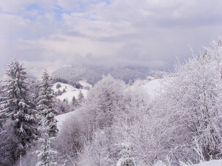Winter fairy tale - Snowy mountains and forest