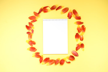 Red petals on the yellow background with copyspace for text