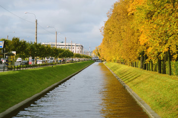 autumn in the park