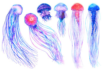 Watercolor jellyfish set in modern bright colors isolated on white background underwater vivid illustration in large size Design element in magic style, purple blue violet glow pink fluid colorful - obrazy, fototapety, plakaty