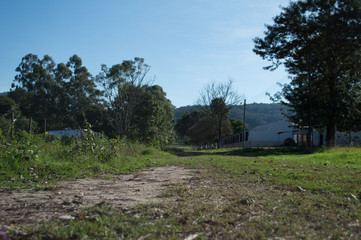 road and field