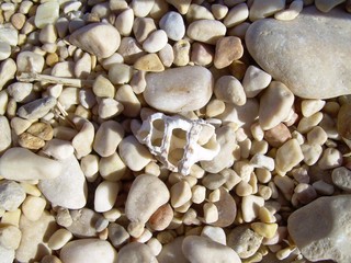 pebbles on the beach