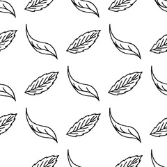 Seamless pattern of elements of leaves and flowers. Hand drawn vector illustration in doodle style. Elements for greeting cards, posters, stickers and seasonal design.