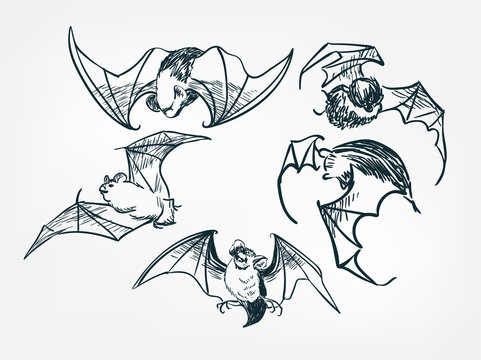 bat set collection japanese chinese oriental vector ink style design elements illustration