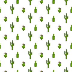 Vector pattern of cactus, aloe and leaves. Patterns collection of exotic plants. Decorative natural elements are isolated on white. Cactus with flowers.