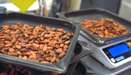 food at the market and fresh kidney beens