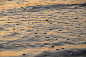 Bubbles on sea at sunset