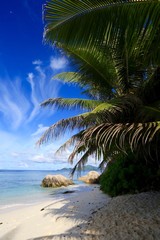 Fototapeta na wymiar Paysage de rêve, Anse Source d'Argent, Seychelles