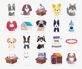 little breeds dogs cats collar domestic cartoon animal, collection pets