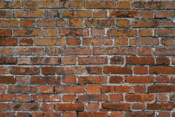 The wall is made of old orange bricks, the masonry is uneven.