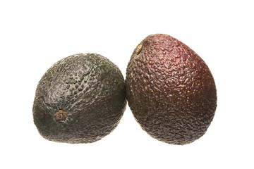 Fototapeta premium Two whole avocados. Fruit isolate on a white background.
