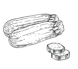 Zucchini with slices in line art style.