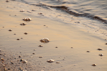bubbles on the beach