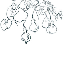 gourd pumpkin bottle set collection japanese chinese oriental vector ink style design elements illustration