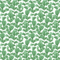 Eucalyptus watercolor pattern on a white background