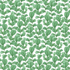 Eucalyptus watercolor pattern on a white background