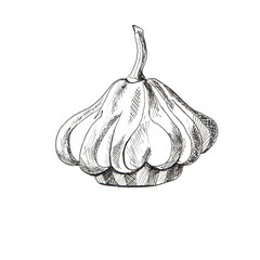 illustration of patty pan squash