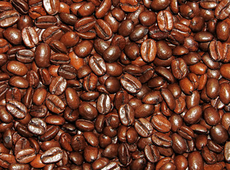 coffee beans background