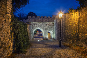 Fototapety na wymiar - Fototapeta24.pl