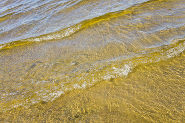 Sandy bottom of a river shot on a sunny spring day. Background for clear water.